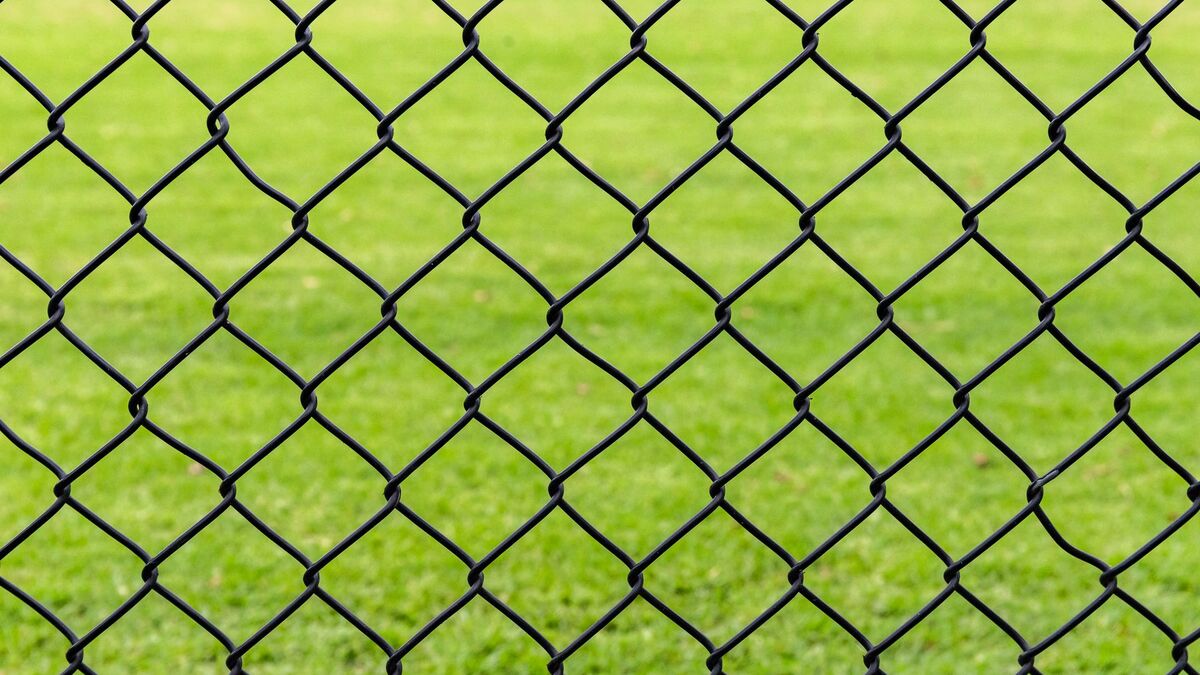 Close-up of a black chain link fence in front of a bright green lawn